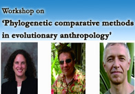 Workshop on Phylogenetic comparative methods in evolutionary anthropology