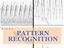 Automatic call-independent individual recognition in four passerines using acoustic features
