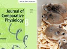 Desert hamsters remain homeothermic and very active during cold acclimation when sufficient food supplied