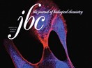Dysregulation of mitochondrial Ca2+ and superoxide signaling has been linked to Huntington’s disease