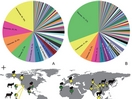 New progress in studying the evolutionary history of glires and their response to global environmental change