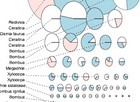 A Recent Progress on DNA Taxonomy - Heuristic optimization for global species clustering of DNA sequence data from multiple loci