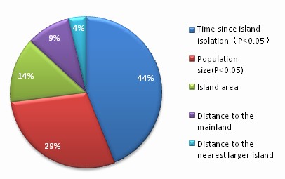Population size and time since island isolation determine genetic diversity loss in insular frog populations