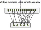 A Protocol for Species Delineation of Public DNA Databases was developed by Chao-Dong ZHU’s lab and published on-line in Systematic Biology