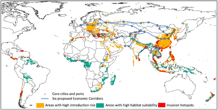 Scientists identify biological invasion hotspots for promoting the green development of the Belt and Road Initiative (BRI)