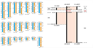 Chromosome-level genome assembly for giant panda provides novel insights into Carnivora chromosome evolution