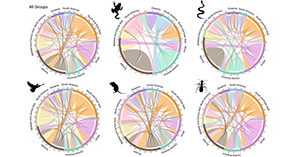 Animal invaders threaten protected areas worldwide
