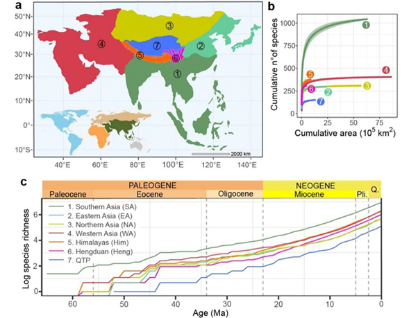 Study Explains Formation of Rich Mammal Diversity in Asia
