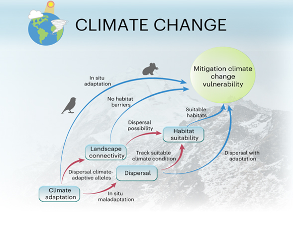 Plateau pika holds “umbrella” for conservation of alpine grassland ecosystem under climate change
