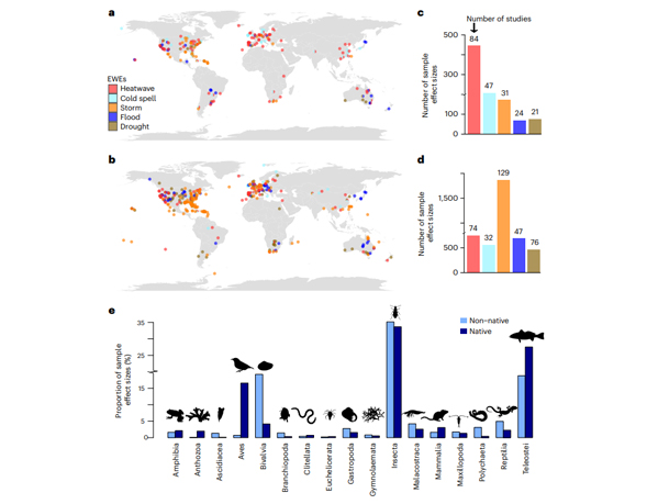 Invasive species may combine with extreme weathers to threaten global biodiversity