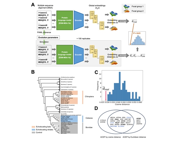 Researchers Reveal Complex Sequence Basis for Adaptive Convergent Evolution of Protein Functions by Deep Learning