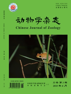 Chinese Journal of Zoology