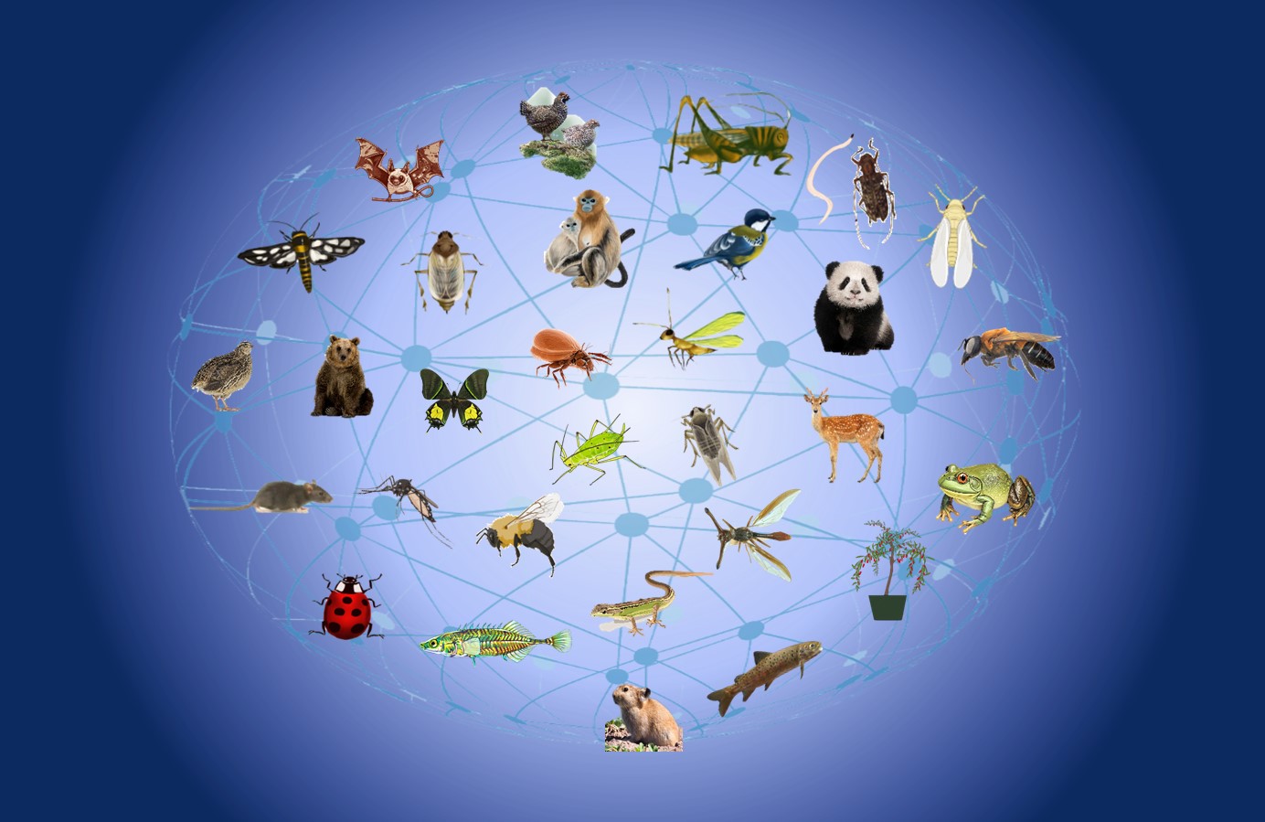 State Key Laboratory of Animal Biodiversity Conservation and Integrated Pest Management