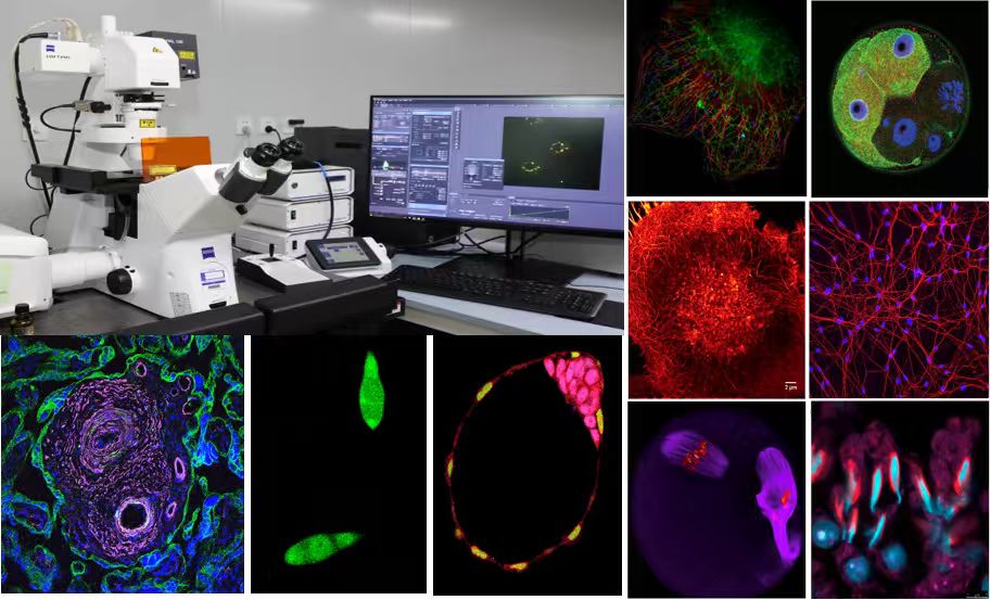 Scientific Instrument and Equipment Center of IOZ