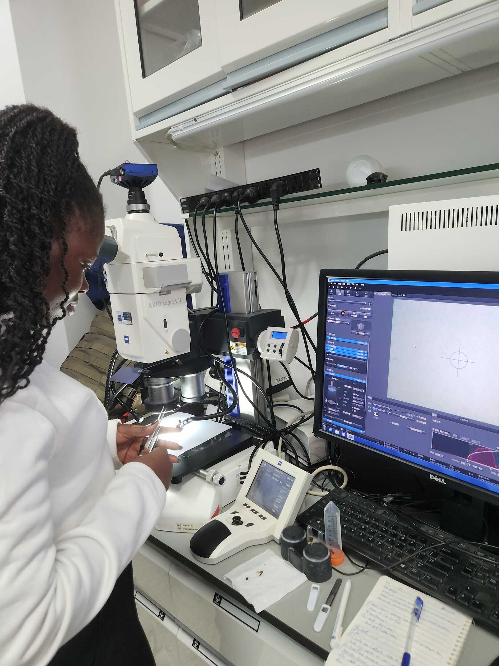 Captured in morphology lab while using Stereomicroscope