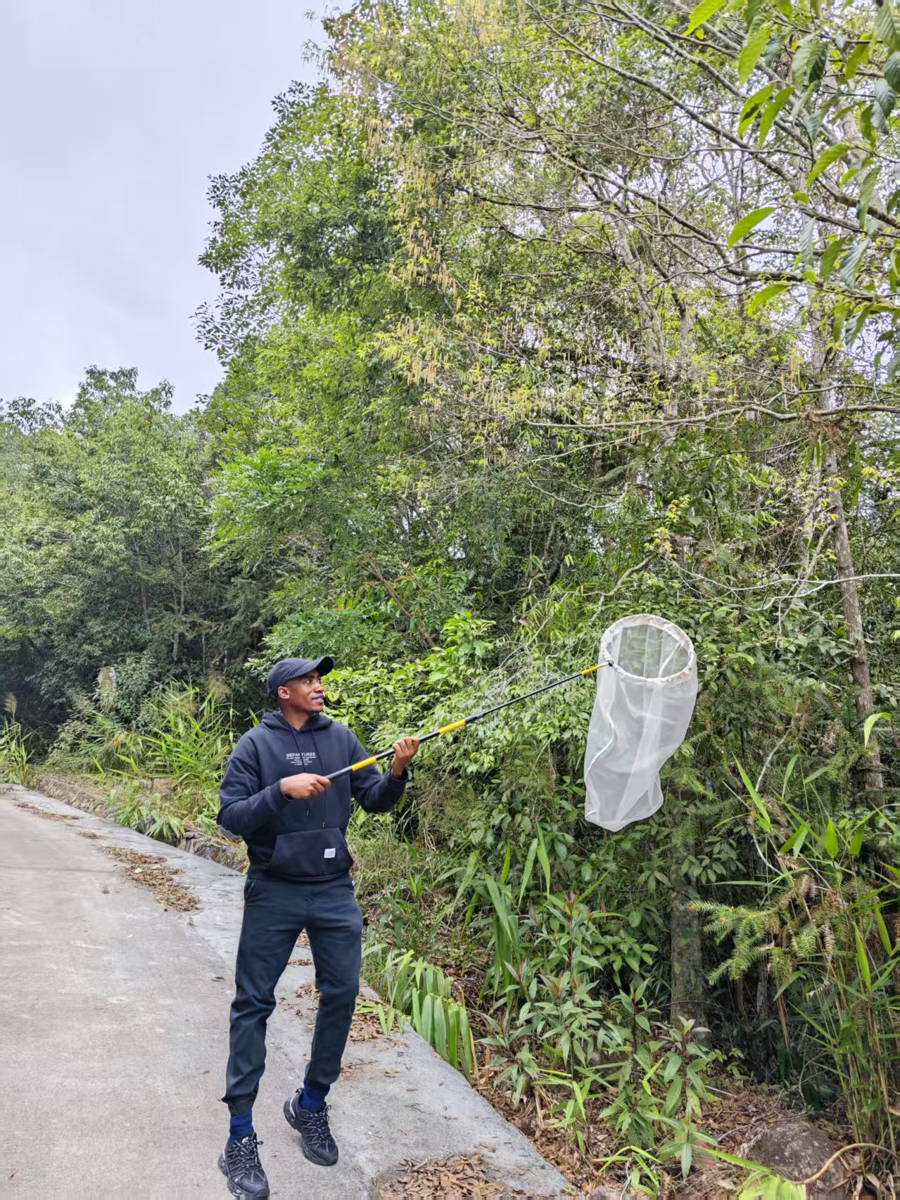 Duncan_Insect pollinator sampling at Jianfengling National Forest Park, Hainan Province