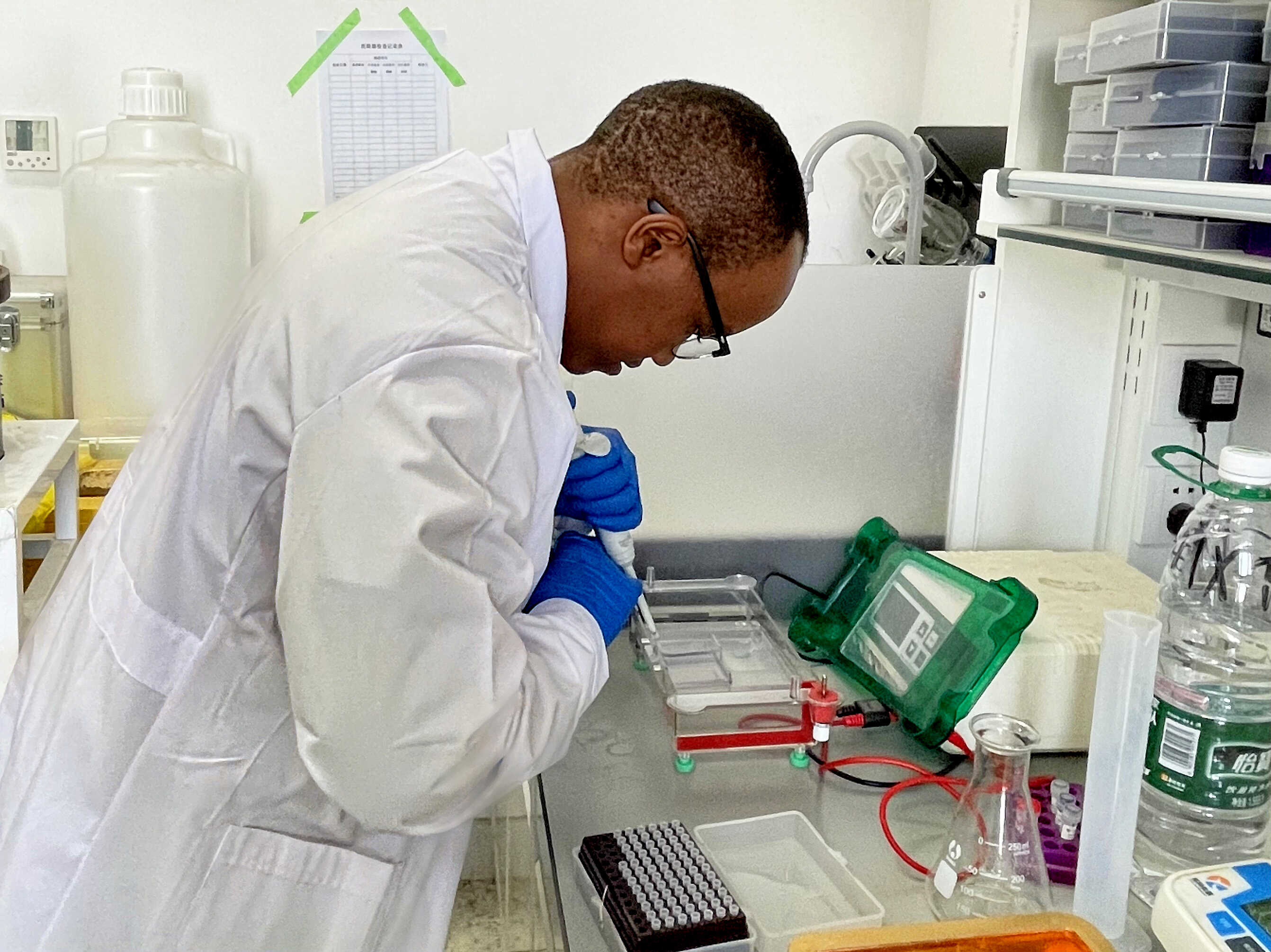 The image was captured during an experiment process in a Molecular Laboratory while performing a gel electrophoresis process.