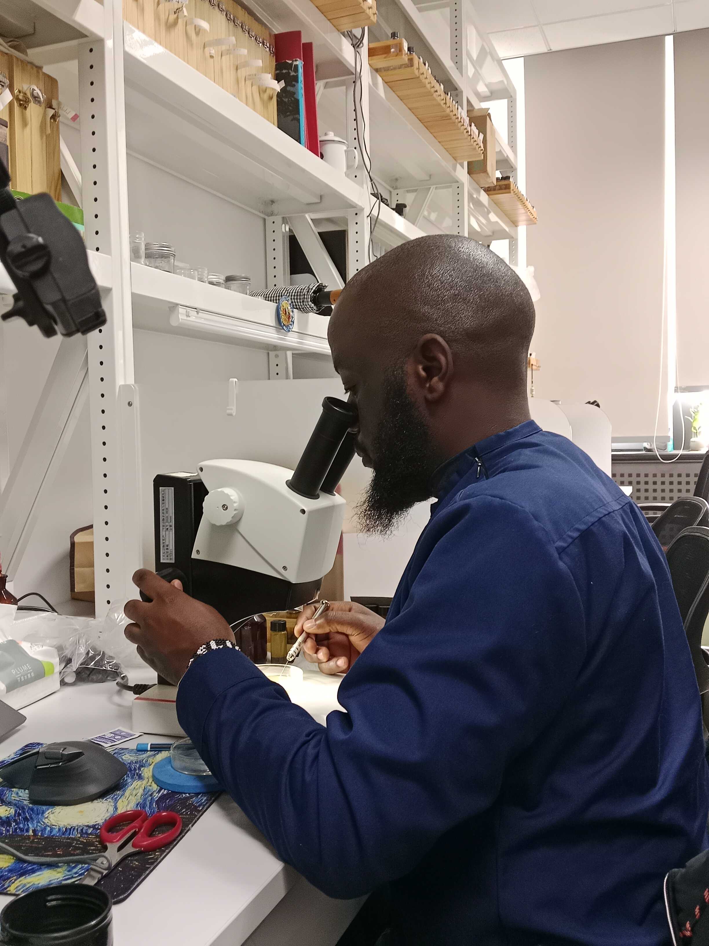 Sorting and separating Oribatid mite samples from other animals in the laboratory