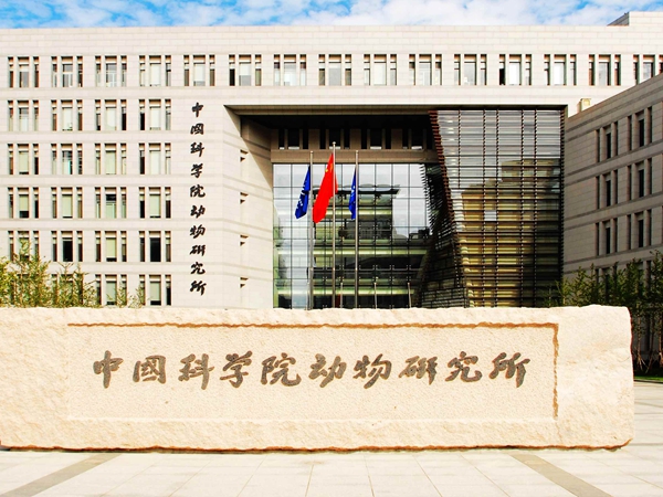 Olympic Park - East District