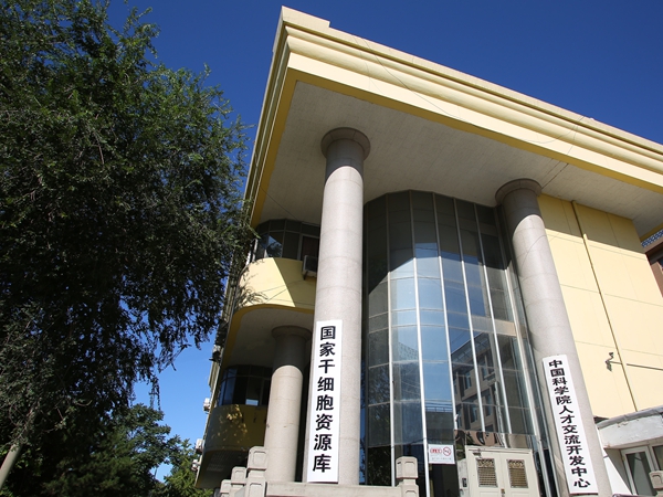 Zhongguancun Park，Beijing